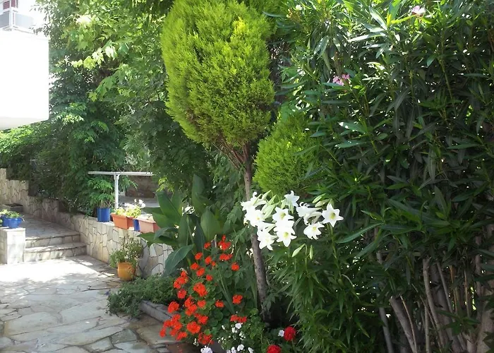 Fotini's 1 * 托罗尼