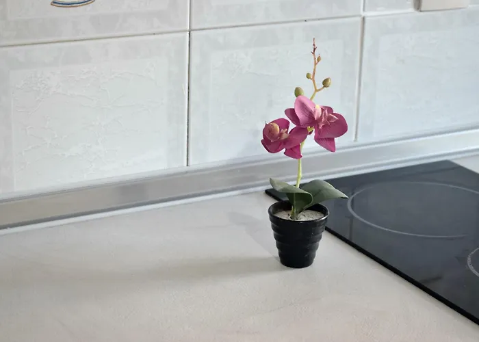 Fotini's 1 * 托罗尼