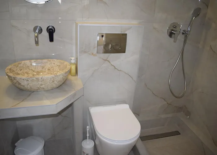 Fotini's 1 托罗尼