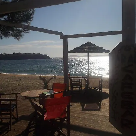 Fotini's 1 Τορώνη