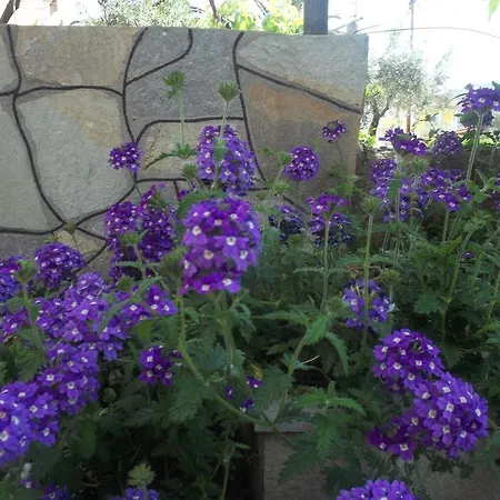 Appartamento Fotini's 1