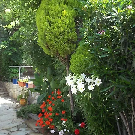 Fotini's 1 * Τορώνη