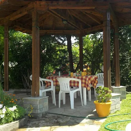 Fotini's 1 * Τορώνη