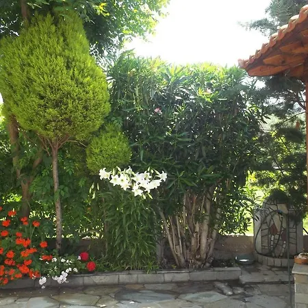 Fotini's Studios 1 * Toroni