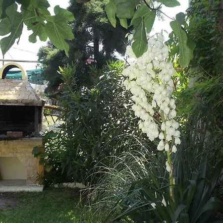 Fotini's 1 Appartamento *