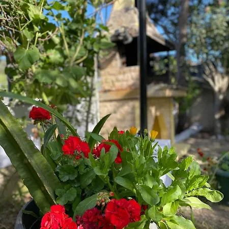 Διαμέρισμα Fotini's 1 *