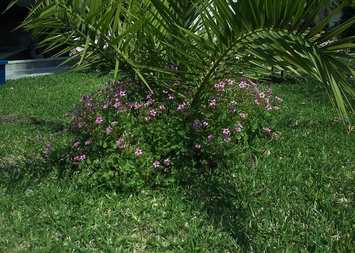 Apartman Fotini's 1 Toróni